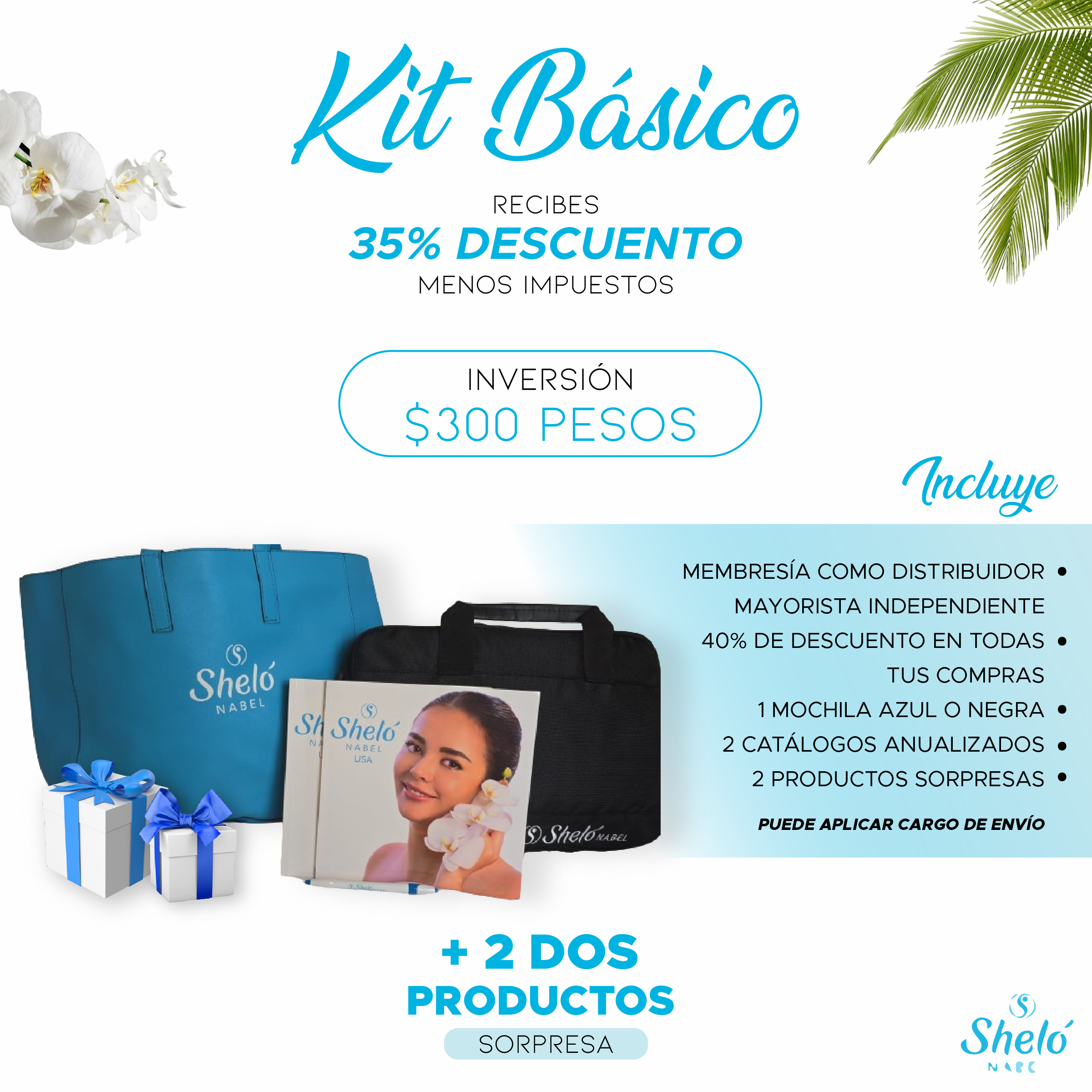 KIT BASICO